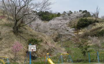 桜山1